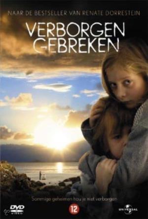 Hidden Flaws's Poster