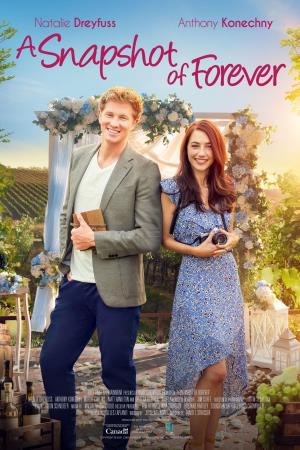 A Snapshot Of Forever's Poster