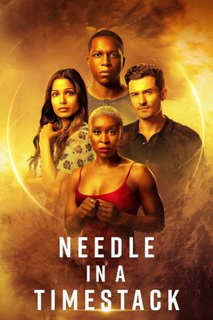 Needle in a Timestack's Poster
