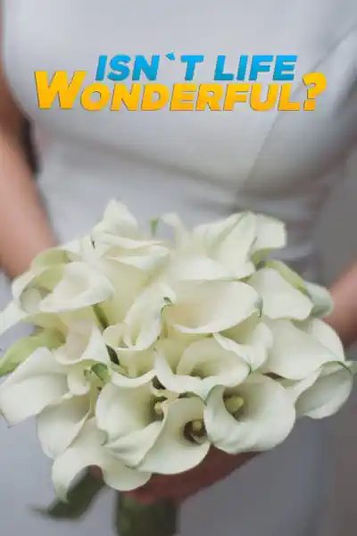Isn't Life Wonderful's Poster