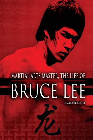 Bruce Lee: Martial Arts Master's Poster