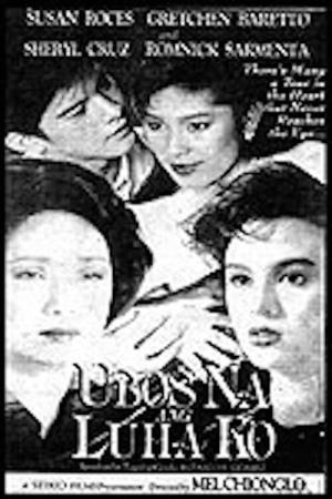UBOS's Poster