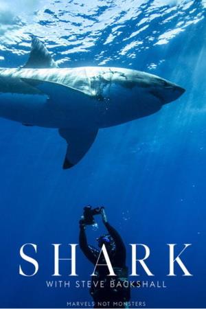 Shark With Steve Backshall's Poster