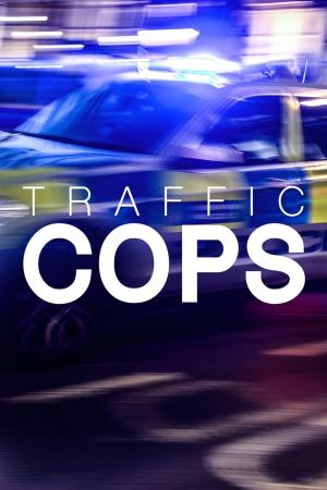 Traffic Cops's Poster