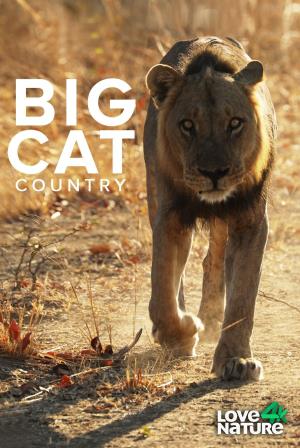 Big Cat Country's Poster