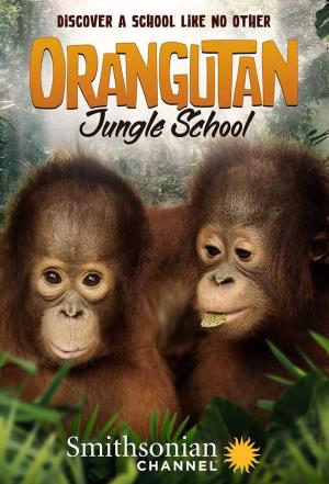 Orangutan Jungle School's Poster