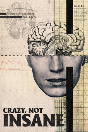 Crazy, Not Insane's Poster