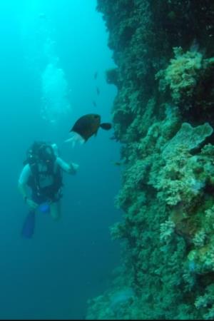 Wonders of the Great Barrier Reef with Iolo Williams's Poster
