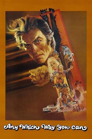 Any Which Way You Can's Poster