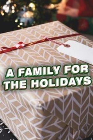 A Family For The Holidays's Poster