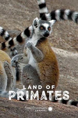 Land Of Primates's Poster