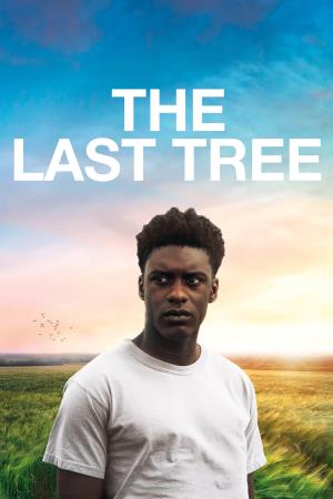 The Last Tree's Poster
