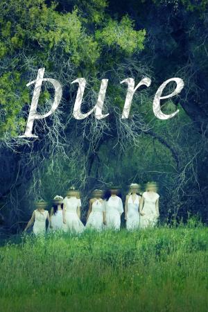 Into The Dark Pure's Poster