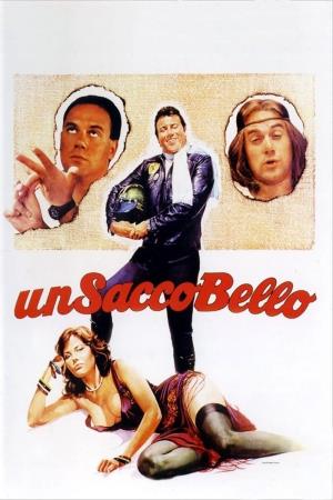 Un sacco bello's Poster