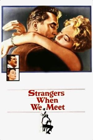 NOI DUE SCONOSCIUTI's Poster