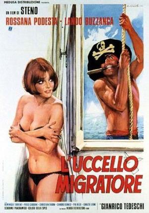 L' uccello migratore's Poster