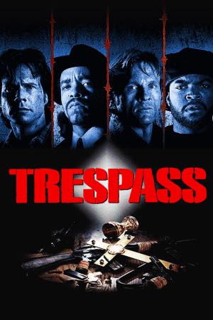 I trasgressori's Poster