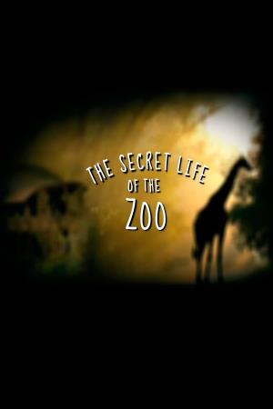 The Secret Life of the Zoo's Poster