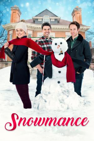 Un amore nella neve's Poster