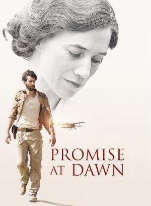 La promessa dell'alba's Poster