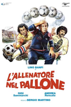 L'allenatore nel pallone's Poster