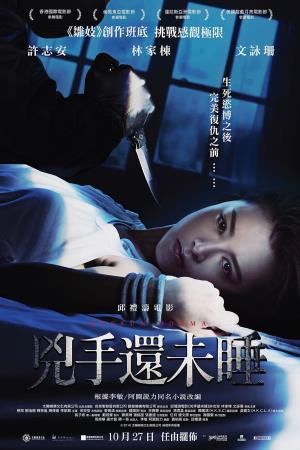 Nessun dorma's Poster