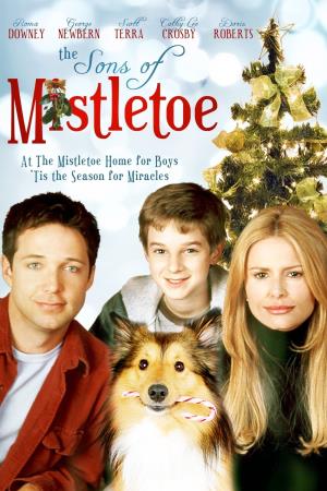 La magia del Natale's Poster