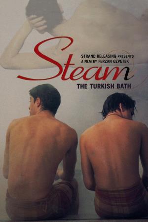 Il bagno's Poster