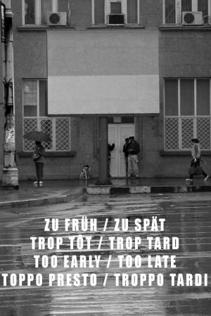 Troppo presto, troppo tardi's Poster