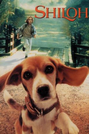 Shiloh's Poster
