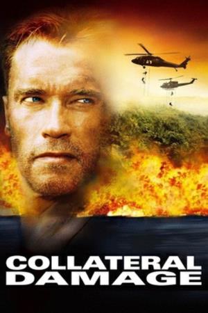 Danni collaterali's Poster