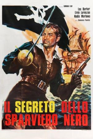 Il segreto dello sparviero nero's Poster