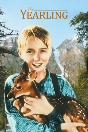 Il cucciolo's Poster