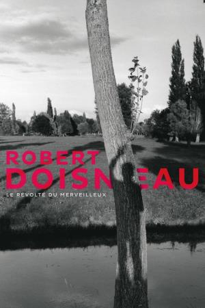 Robert Doisneau's Poster