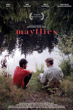 Mayflies's Poster