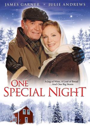 One Special Night's Poster