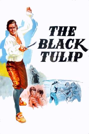 Il tulipano nero's Poster