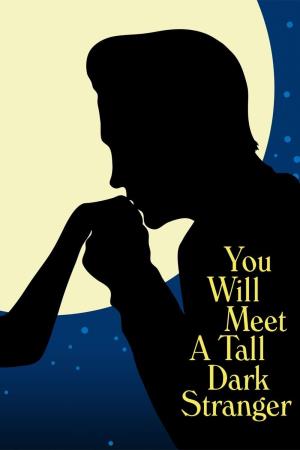 You Will Meet A Tall Dark Stranger's Poster