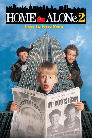 Mamma, ho riperso l'aereo: mi sono smarrito a New York's Poster