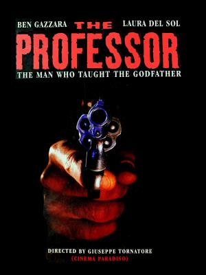 Il camorrista's Poster