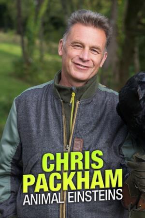 Chris Packham's Animal Einsteins's Poster