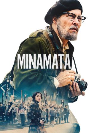 Il caso Minamata's Poster