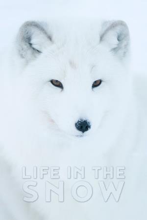 Life in the Snow's Poster