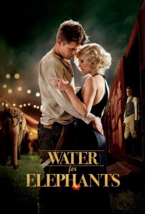 Come l'acqua per gli elefanti's Poster