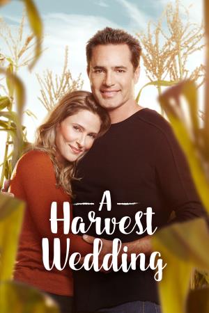 Un matrimonio in campagna's Poster