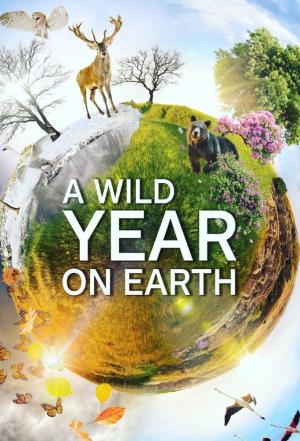 A Wild Year on Earth's Poster