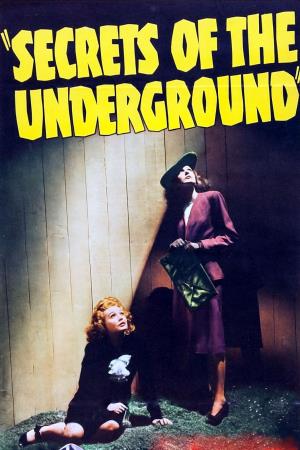 Secrets Underground's Poster