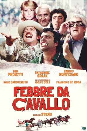 Febbre da cavallo's Poster