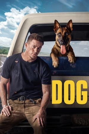 Dog's Poster