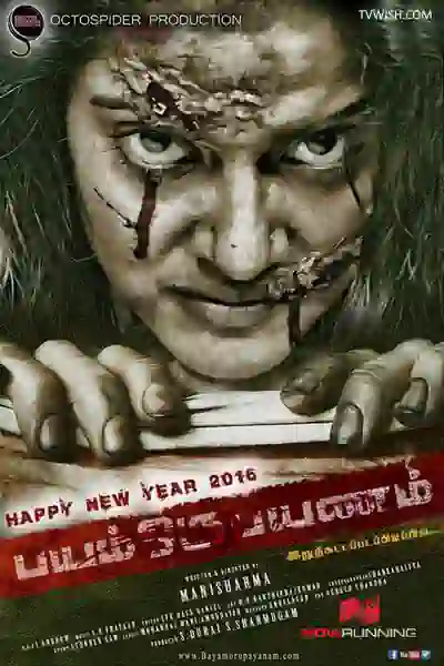 Bayam's Poster